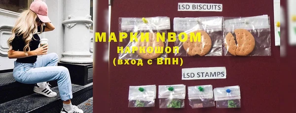 ПСИЛОЦИБИНОВЫЕ ГРИБЫ Абаза
