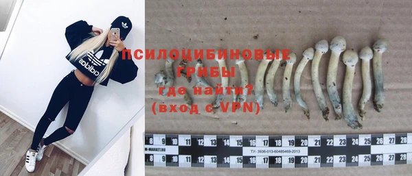 шишки Абинск