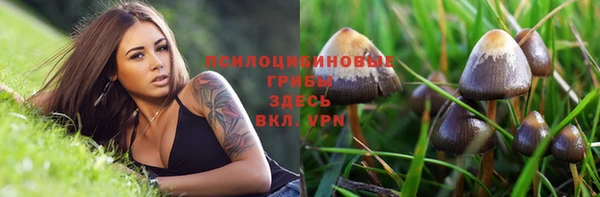 синтетический гашиш Абдулино