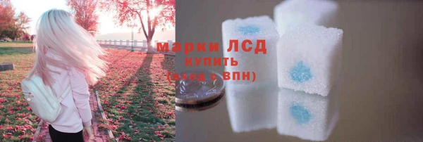 ПСИЛОЦИБИНОВЫЕ ГРИБЫ Абаза