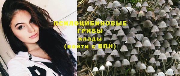 ПСИЛОЦИБИНОВЫЕ ГРИБЫ Абаза
