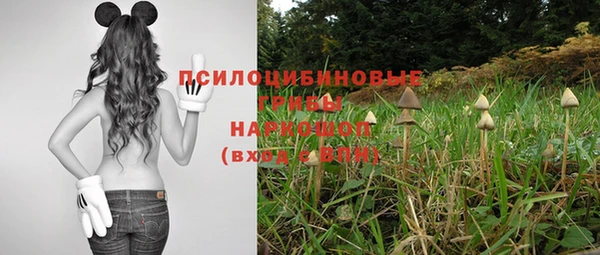 синтетический гашиш Абдулино