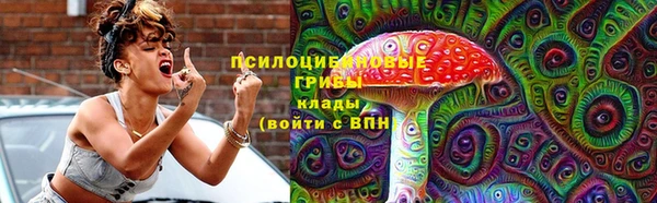шишки Абинск