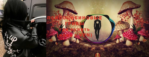 ПСИЛОЦИБИНОВЫЕ ГРИБЫ Абаза