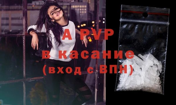 ПСИЛОЦИБИНОВЫЕ ГРИБЫ Абаза