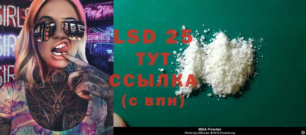 ПСИЛОЦИБИНОВЫЕ ГРИБЫ Абаза