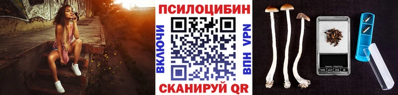где можно купить наркотик  Чекалин  Галлюциногенные грибы мицелий 